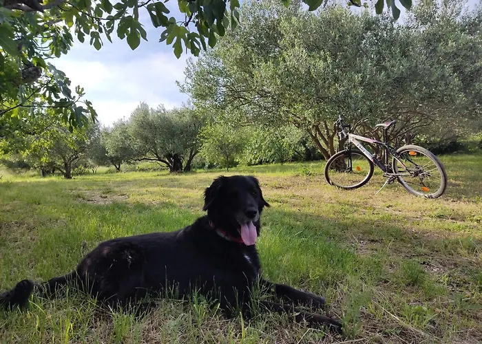 House Mablo With Pool & Jacuzzi
